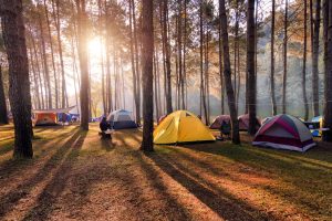 Camping Ramah Lingkungan