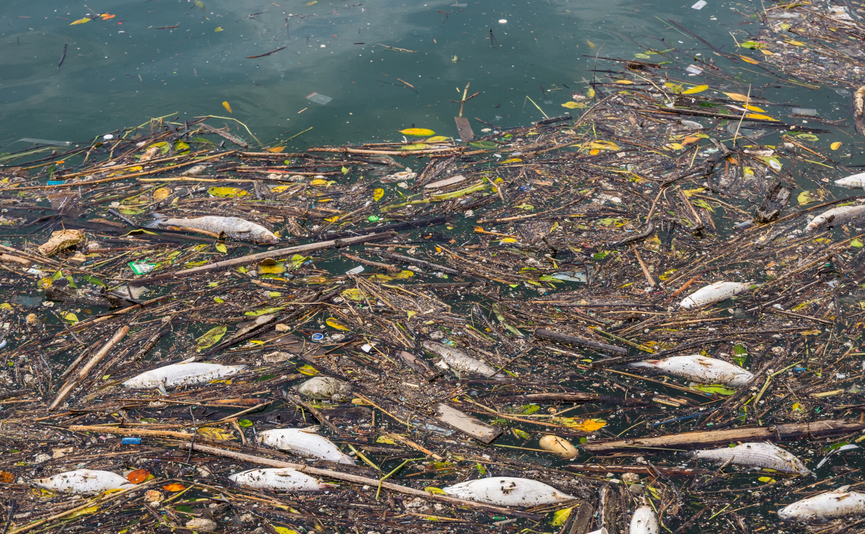 Masalah Sampah di Sungai: Penyebab dan Upaya Penanggulangan
