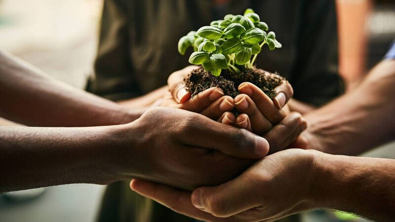 Program DLH untuk Meningkatkan Kesadaran Lingkungan Masyarakat